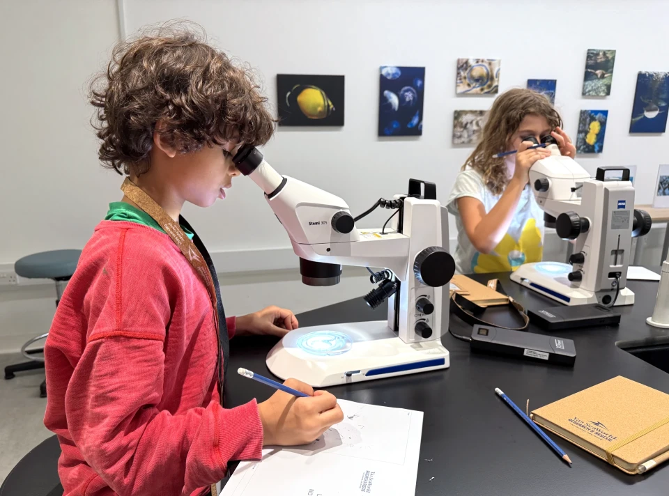 Exposition Sorbonne d’Abu Dhabi