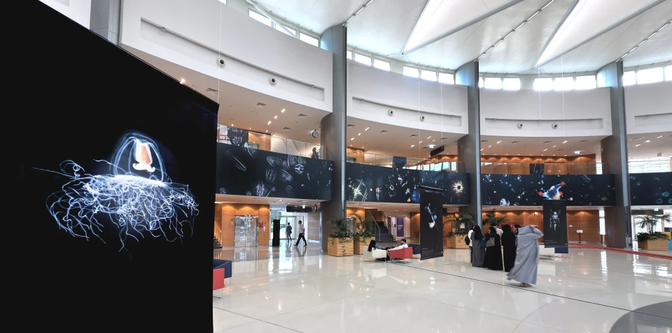 Exposition Sorbonne d’Abu Dhabi