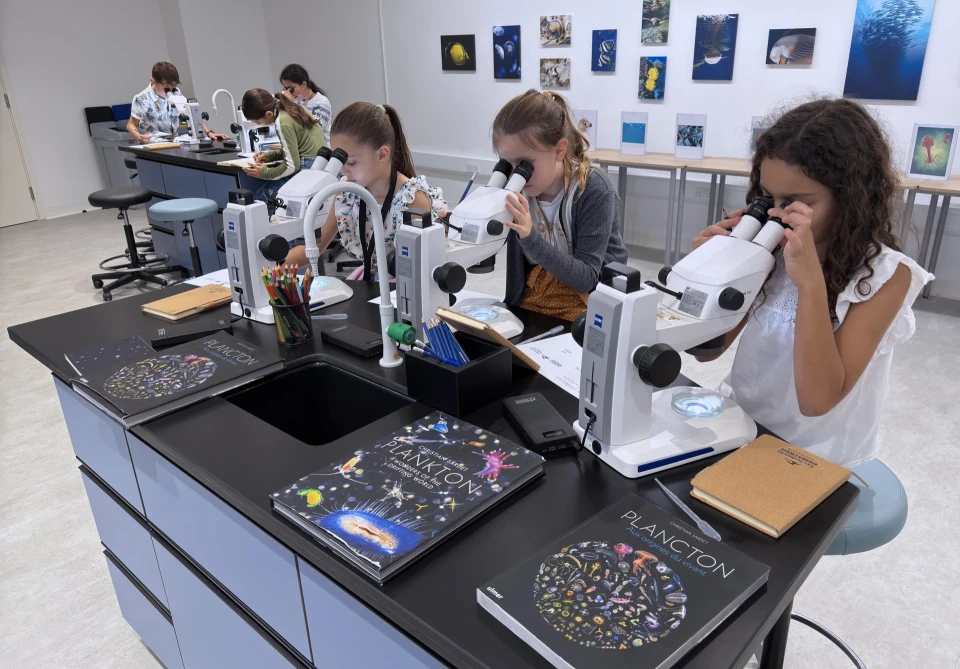 Exposition Sorbonne d’Abu Dhabi