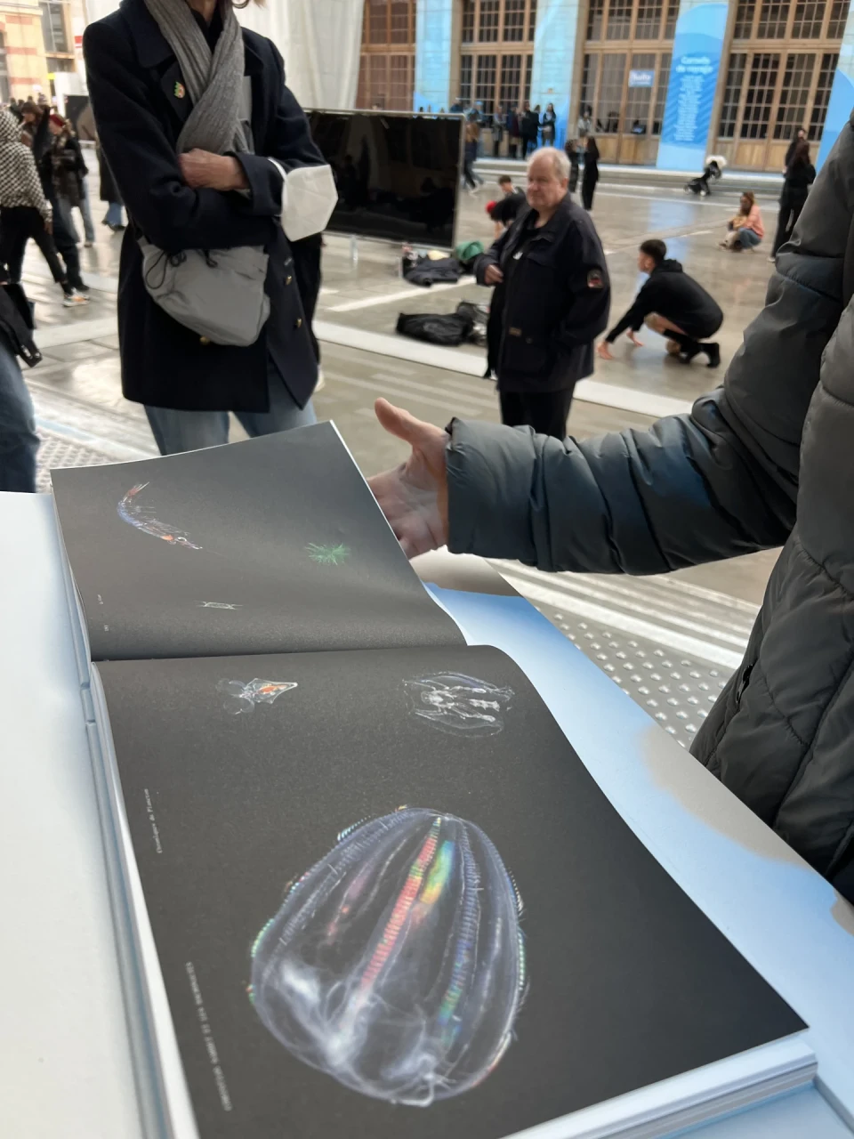 La Grande Expédition