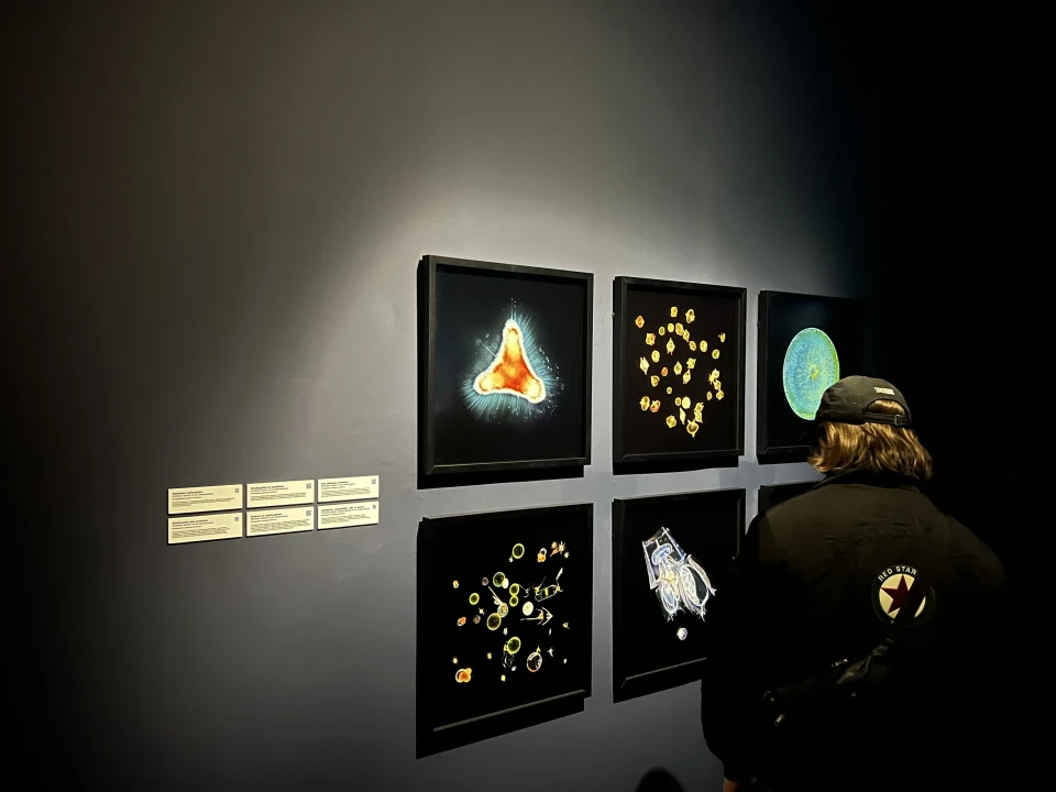 La Grande Expédition