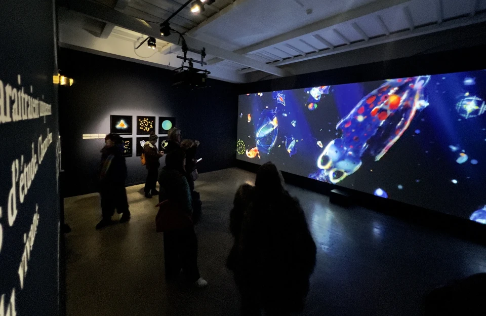 La Grande Expédition