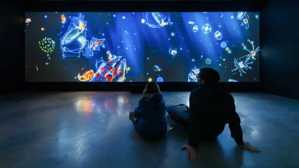 La Grande Expédition