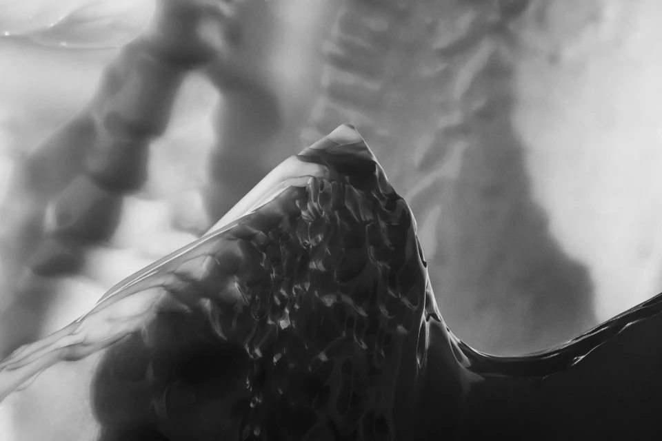 Les géants de Terre Neuve