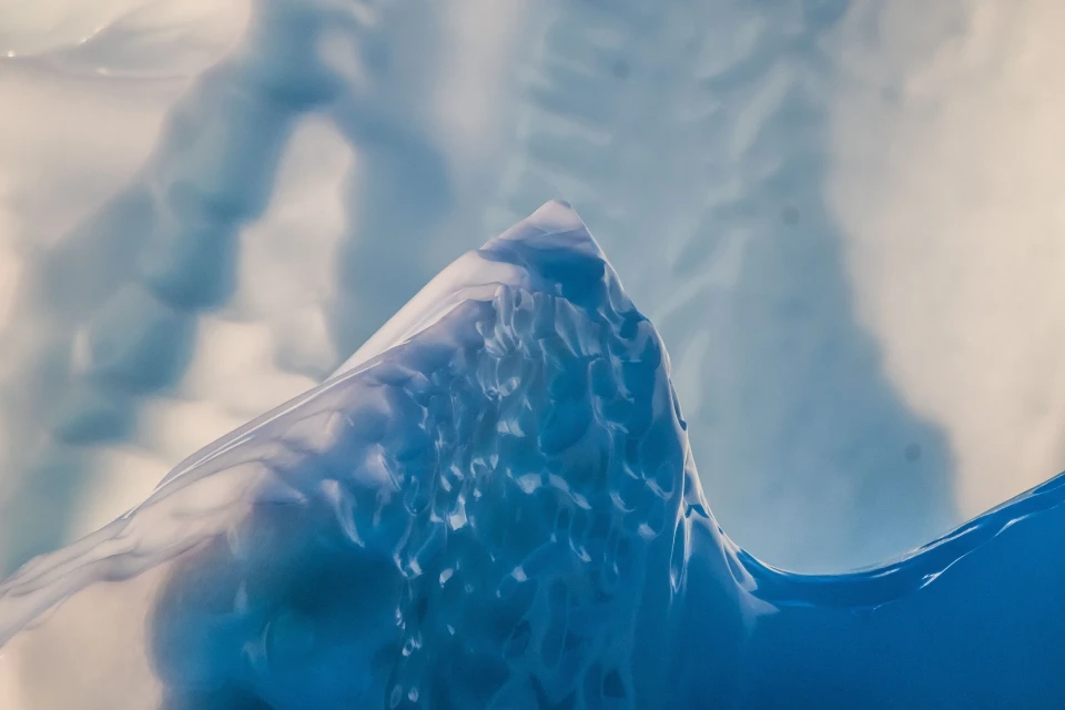 Les géants de Terre Neuve