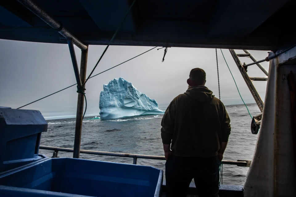 Les géants de Terre Neuve