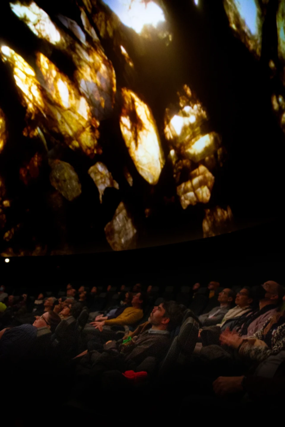 Wilfred Buck’s Star Stories