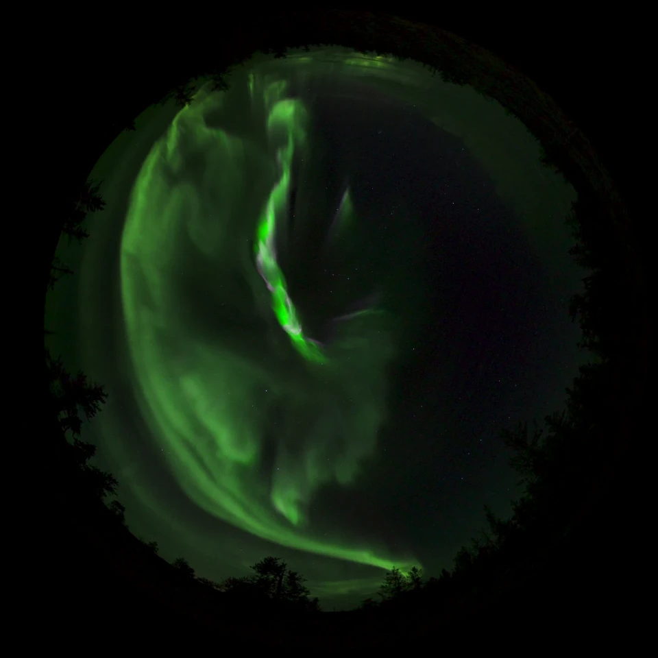 Wilfred Buck’s Star Stories