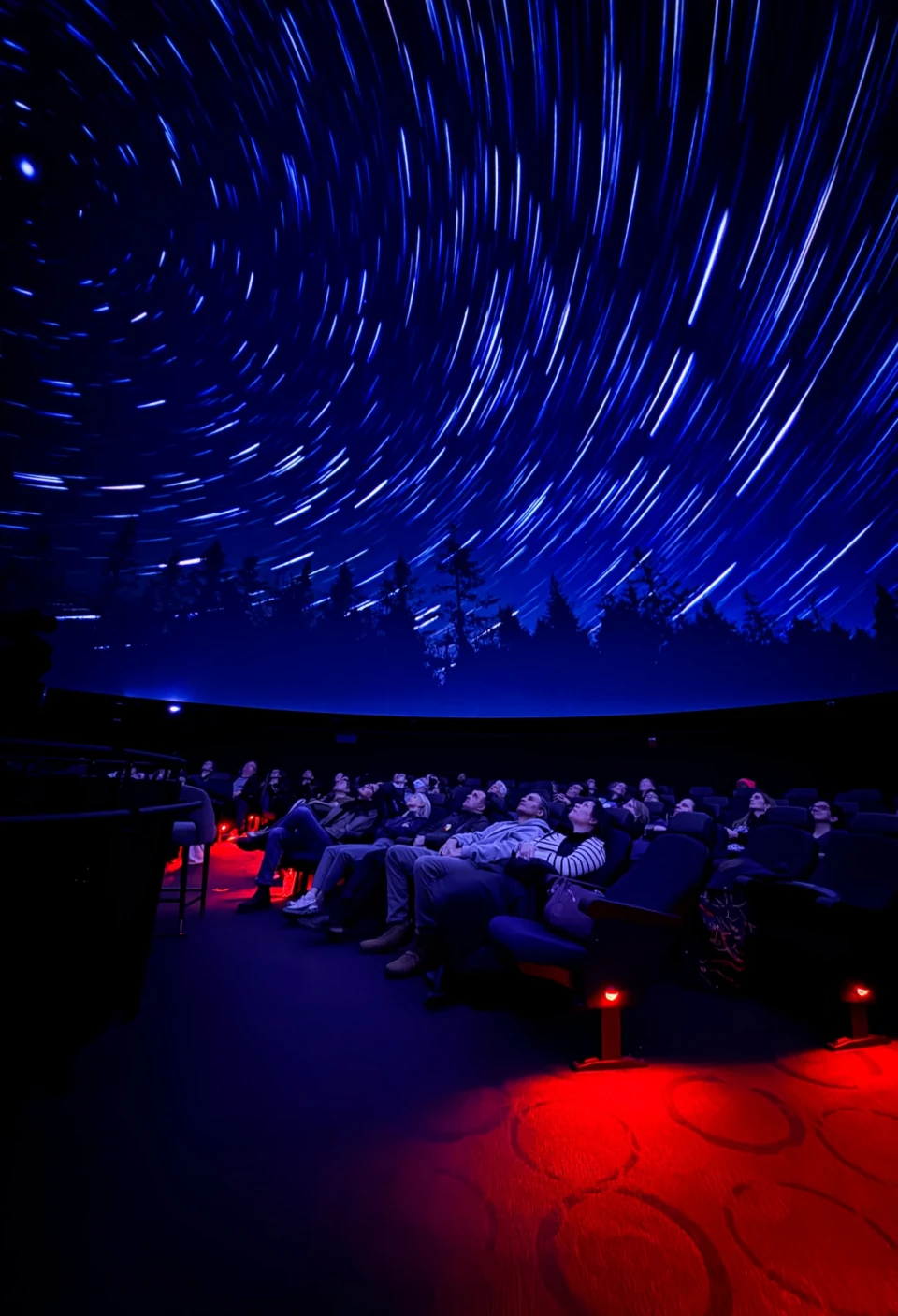 Wilfred Buck’s Star Stories