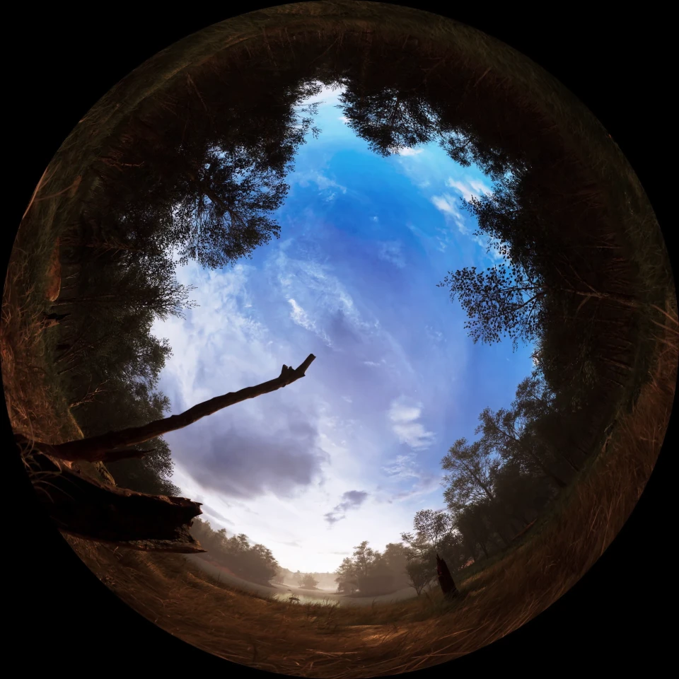 Wilfred Buck’s Star Stories